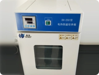 DH-205型电热恒温培养箱