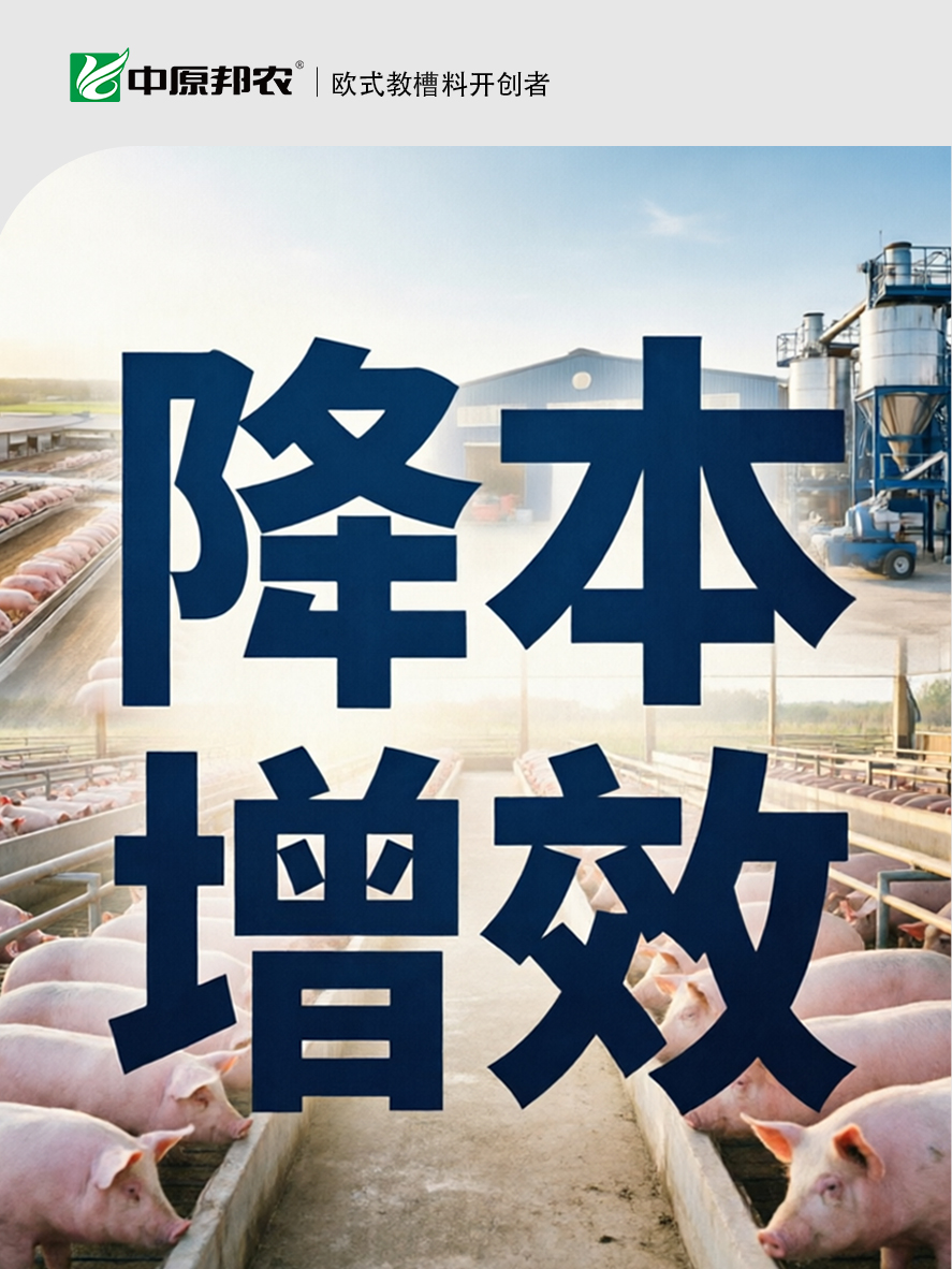 "活"下去，就是最大的胜利——猪价低谷期，中原邦农与您共寻“降本”突围之路！